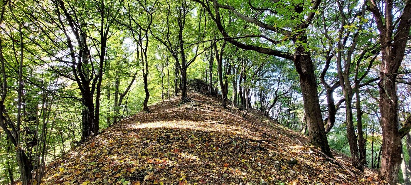 hradisko na vrchu rochovica rudinka 1