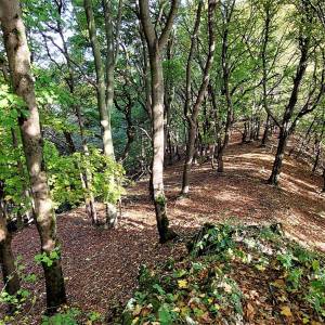 hradisko-na-vrchu-rochovica-rudinka_2_original