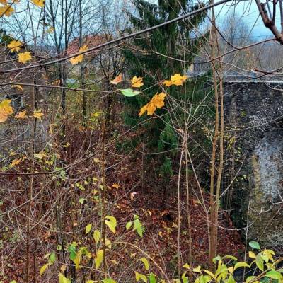 kamenny-most-krasno-nad-kysucou_14_original