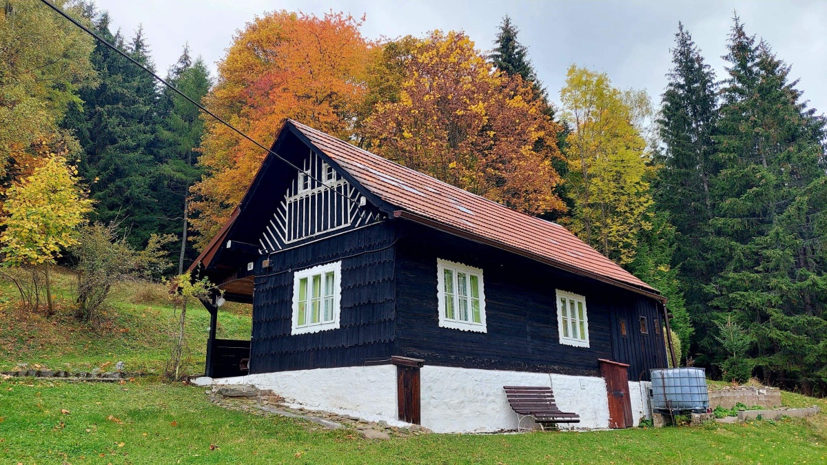 kýčerka makov 16