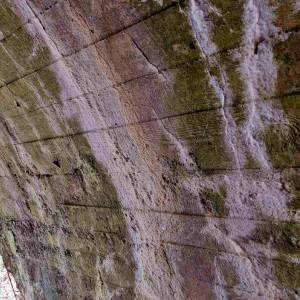 most-v-tichej-doline-oscadnica_14_original