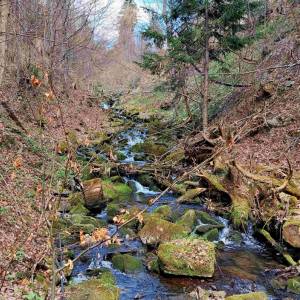 most-v-tichej-doline-oscadnica_7_original