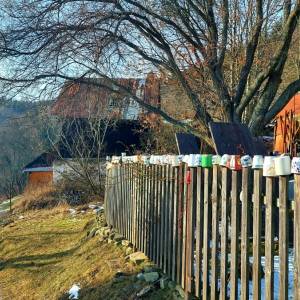 belajky-ochodnica_2_original
