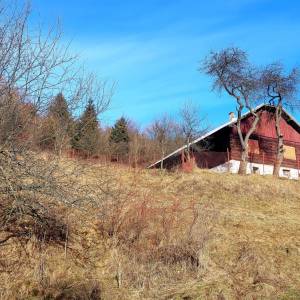 belajky-ochodnica_9_original