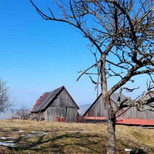 blazkova-cadca_8_original