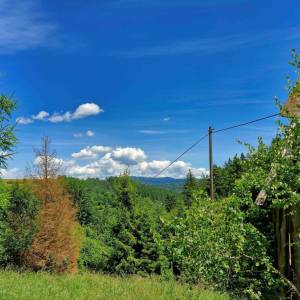 bojasovci-krasno-nad-kysucou_10_original