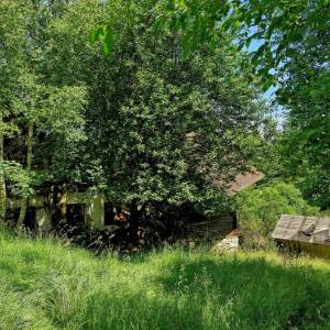 bojasovci-krasno-nad-kysucou_3_original