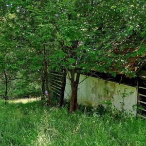bojasovci-krasno-nad-kysucou_9_original