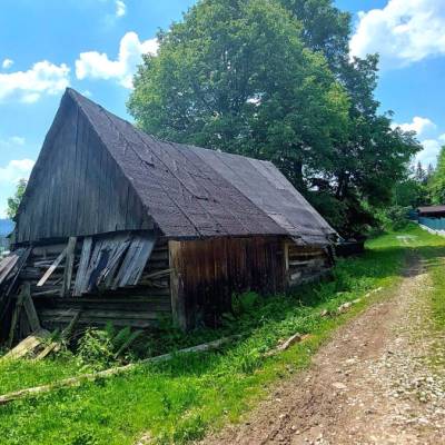 bryndzarovci-horelica_1_original