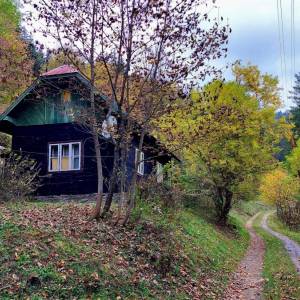 bugalovci-makov_3_original