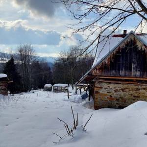 cervencovci-olesna_1_original