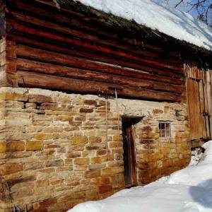 cervencovci-olesna_5_original