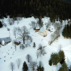 cervencovci-olesna_7_original