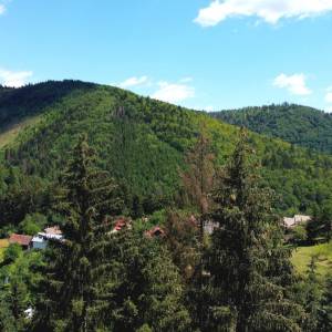 cervene-neslusa_12_original