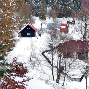 culakovci-neslusa_1_original