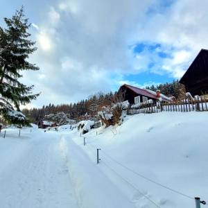 culakovci-neslusa_6_original