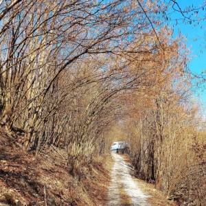 grapovci-krasno-nad-kysucou_10_original