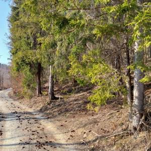 grapovci-krasno-nad-kysucou_3_original