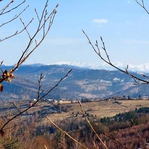 grapovci-krasno-nad-kysucou_6_original