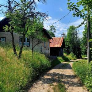 griecovci-zakopcie_16_original
