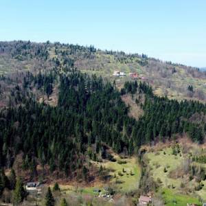 haladejovci-oscadnica_16_original