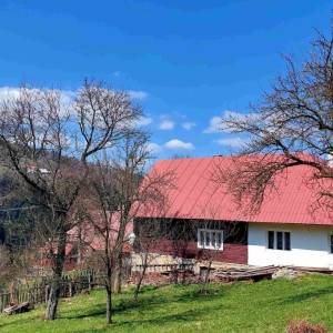 haladejovci-oscadnica_19_original