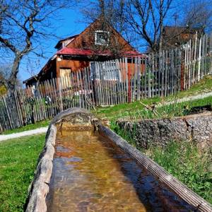 haladejovci-oscadnica_25_original