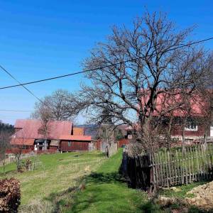 haladejovci-oscadnica_2_original