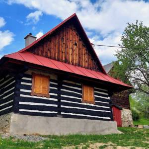 hazikovci-zakopcie_4_original