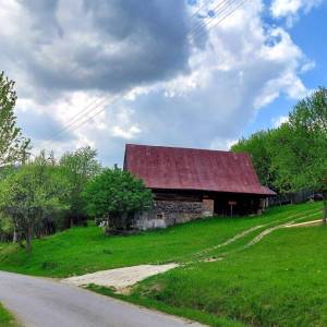 hazikovci-zakopcie_5_original