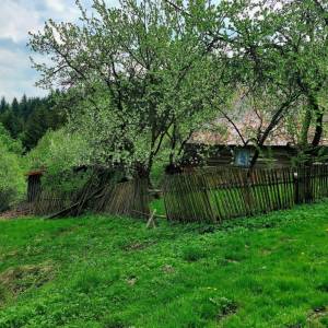 holesovci-zakopcie_8_original