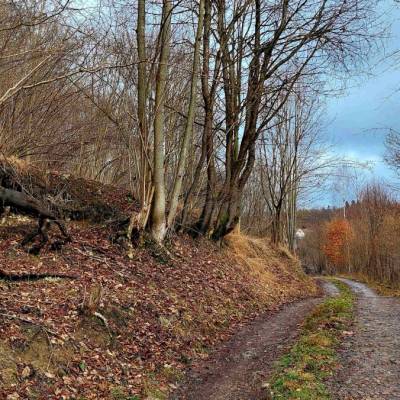 jarabicovci-krasno-nad-kysucou_13_original
