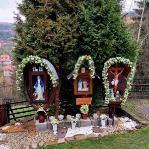 jedlicnik-krasno-nad-kysucou_3_original