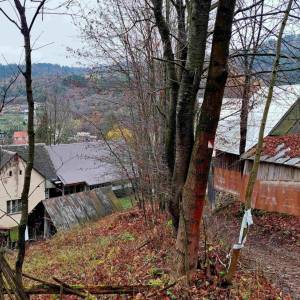 jedlicnik-krasno-nad-kysucou_4_original