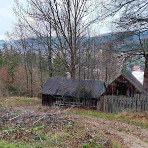 jedlicnik-krasno-nad-kysucou_6_original