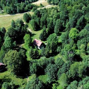 jurdovci-neslusa_12_original