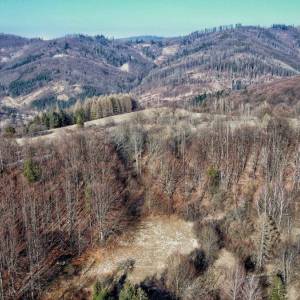 kamaduse-povina_1_original