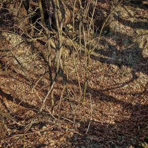 kamaduse-povina_3_original