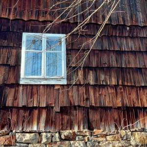 klin-olesna_10_original