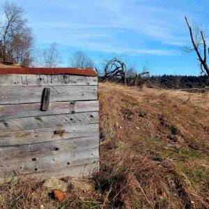 klin-olesna_12_original