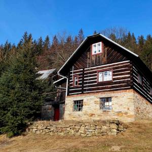klin-olesna_15_original