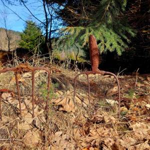 klin-olesna_17_original