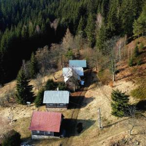 klin-olesna_18_original