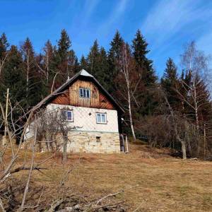 klin-olesna_21_original