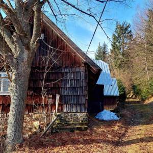 klin-olesna_23_original
