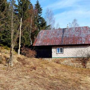 klin-olesna_2_original