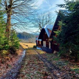 klin-olesna_8_original