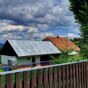 kuchriska-rakova_11_original