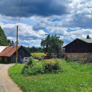kuchriska-rakova_13_original