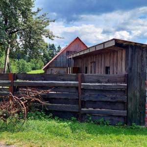kuchriska-rakova_14_original